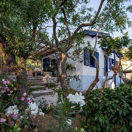 Sète Les Maisons De Pecheurs מראה חיצוני תמונה